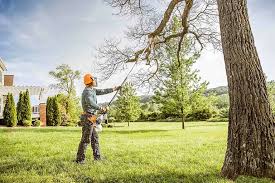 Why Choose Our Tree Removal Services in Claremont, NH?